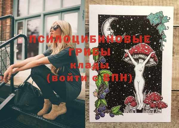 прущие крисы Богданович