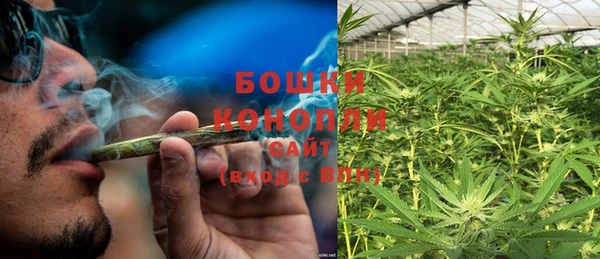 прущие крисы Богданович