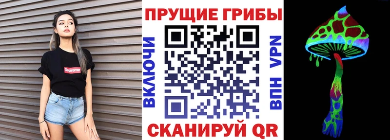 гидра как войти  Каспийск  Галлюциногенные грибы прущие грибы 